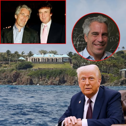 Donald Trump Says He ‘Never Had the Privilege’ to Go to Epstein’s Island