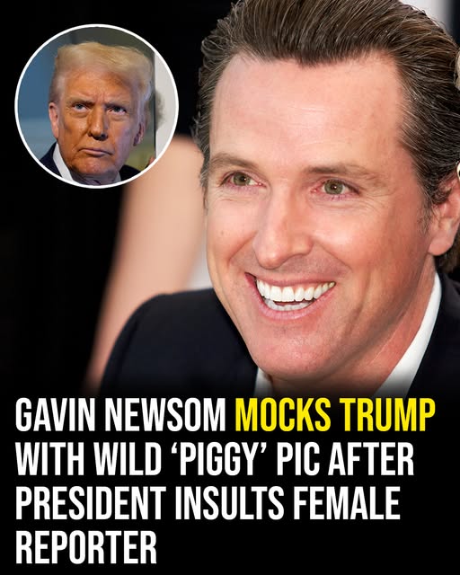 Newsom Mocks Trump Using a Crazy ‘Piggy’ Image Following the President’s Reporter Insult.