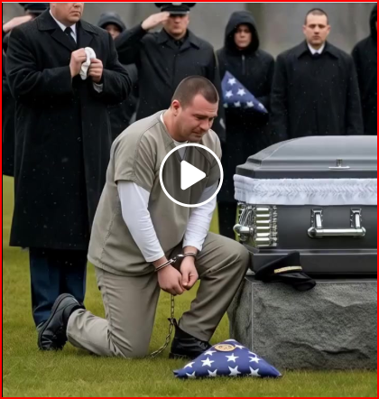 “In Chains, He Came to Mourn His Lost Partner—And What the Grieving Mother Did Silenced the Honor Guard and Altered the Scene for All Present.”