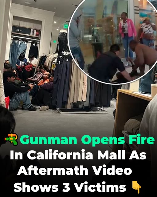 California Mall Erupts in Gunfire as Shoppers Flee — The Aftermath No One Saw Coming
