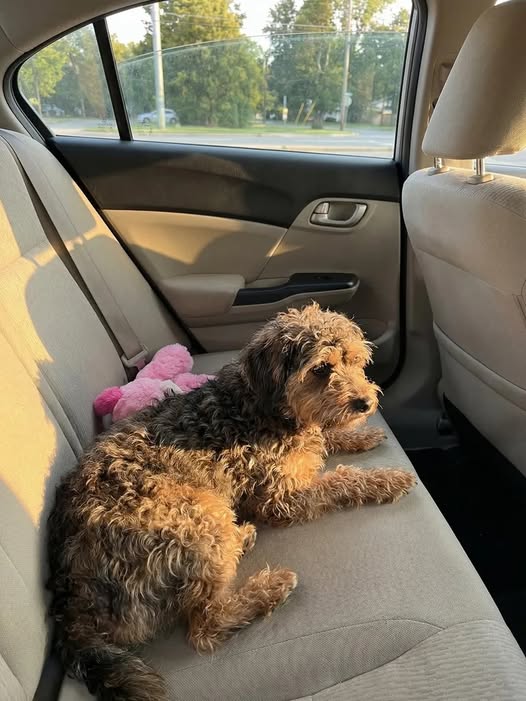 What Lay Beneath the Mats Became a Story of Healing and Hope