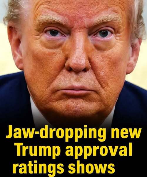 Recent Survey Shows Public Sentiment Toward Trump