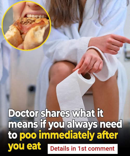 Doctor shares what it means if you always need to poo immediately after you eat (it isn&rsquo;t just IBS)
