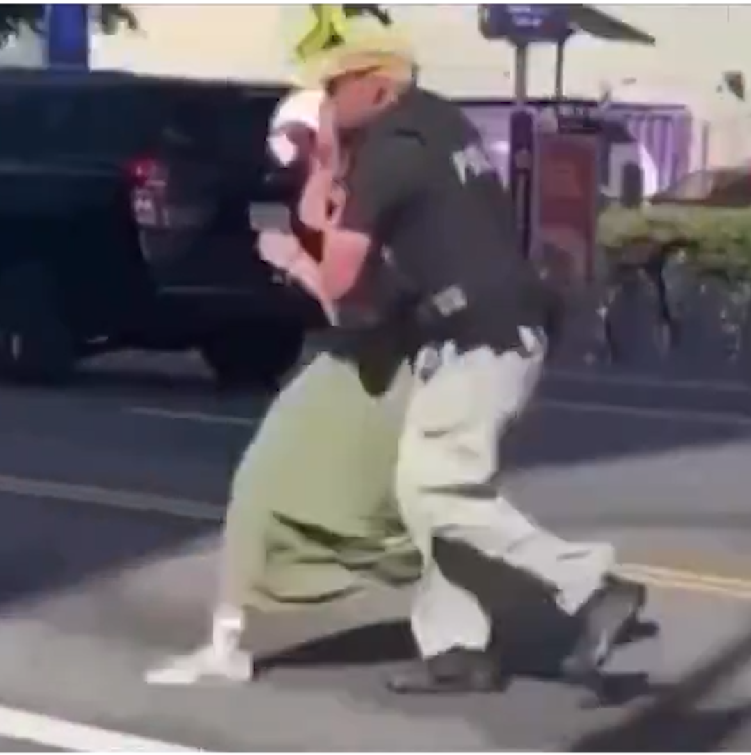 Protester Attempts to Block Police Escort — Officers Step In